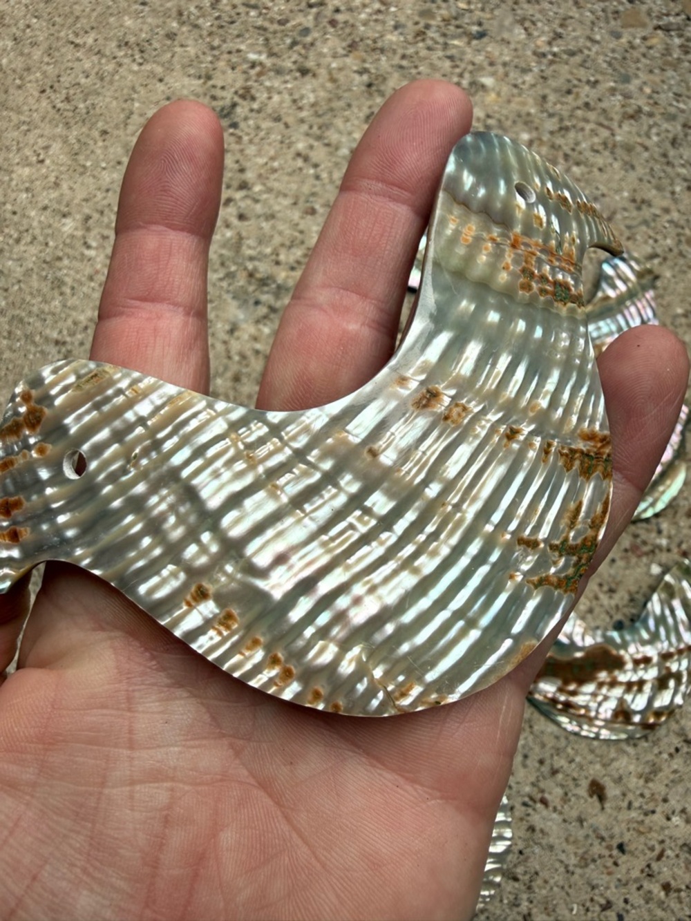 Iridescent Mother of Pearl Bird Pendants / Shell Statement Charms - Picture 6 of 8